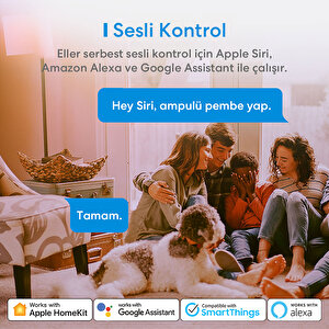 Akıllı RGB Ampul, 810L/9W Akıllı RGB Ampul, 810L/9W