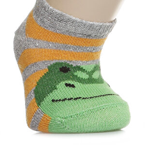 Albio Dino 3lü Patik Çorap