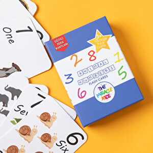The Mıracle  Animal Numbers Flash Cards
