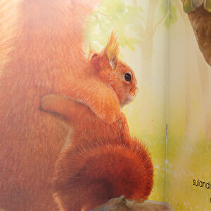 Annem Yanı Başımda