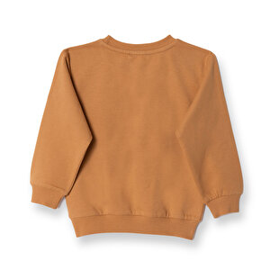 Ayıcık Baskılı Sweatshirt Erkek Bebek Ayıcık Baskılı Sweatshirt Erkek Bebek