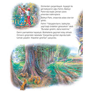 Ayşegül 48: Özel Bir Gün Ayşegül 48: Özel Bir Gün