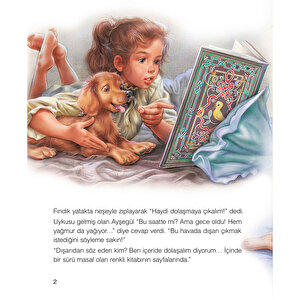 Ayşegül 49: Masallar Diyarında