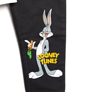 LooneyTunes Eşofman Takımı Erkek Bebek LooneyTunes Eşofman Takımı Erkek Bebek