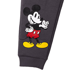 Erkek Bebek DISNEY Eşofman Takımı Şardonlu Üç İplik Bisiklet Yaka Uzun Kol Lastikli Paça