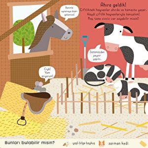 Bas – Çıkar – Oyna Çiftlik Bas – Çıkar – Oyna Çiftlik