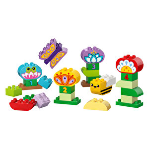 Bahçe ve Çiçekler 10444 Bahçe ve Çiçekler 10444