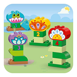 Bahçe ve Çiçekler 10444 Bahçe ve Çiçekler 10444