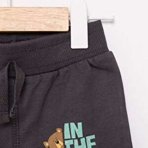 Basic Ayı Baskılı Az Şardonlu Eşofman Alt Unisex