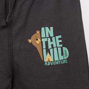 Basic Ayı Baskılı Az Şardonlu Eşofman Alt Unisex