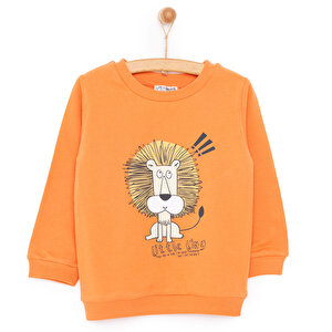 Basic Az Şardonlu Aslan Desenli Sweatshirt