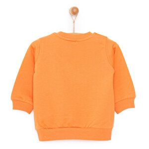 Basic Az Şardonlu Aslan Desenli Sweatshirt