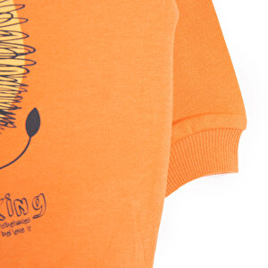 Basic Az Şardonlu Aslan Desenli Sweatshirt