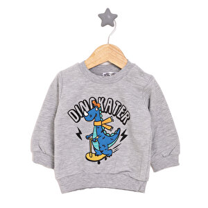 Erkek Bebek Sweatshirt Şardonlu Dinokater Desenli Bisiklet Yaka Uzun Kol Erkek Bebek Sweatshirt Şardonlu Dinokater Desenli Bisiklet Yaka Uzun Kol