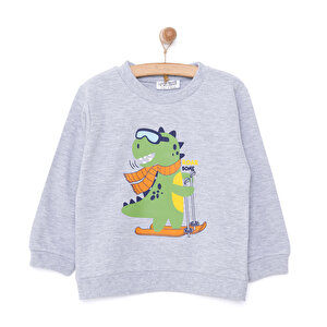 Basic Az Şardonlu Dinozor Desenli Sweatshirt Erkek Bebek Basic Az Şardonlu Dinozor Desenli Sweatshirt Erkek Bebek