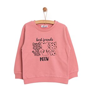 HelloBaby Basic Az Şar, Gül Kurusu, 6 Ay