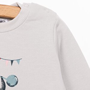 Erkek Bebek Sweatshirt Şardonlu Penguen Baskılı Bisiklet Yaka Uzun Kol Gri Erkek Bebek Sweatshirt Şardonlu Penguen Baskılı Bisiklet Yaka Uzun Kol Gri