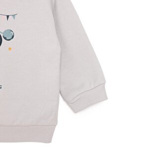 Erkek Bebek Sweatshirt Şardonlu Penguen Baskılı Bisiklet Yaka Uzun Kol Gri Erkek Bebek Sweatshirt Şardonlu Penguen Baskılı Bisiklet Yaka Uzun Kol Gri