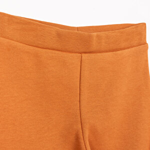 Basic Erkek Aslan Baskılı 2li Patiksiz Alt Erkek Bebek Basic Erkek Aslan Baskılı 2li Patiksiz Alt Erkek Bebek