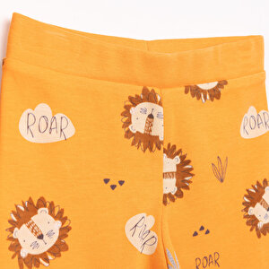 Basic Erkek Aslan Baskılı 2li Patiksiz Alt Erkek Bebek Basic Erkek Aslan Baskılı 2li Patiksiz Alt Erkek Bebek