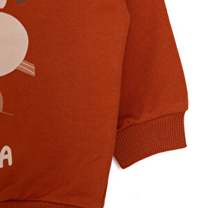 Sweatshirt Sweatshirt