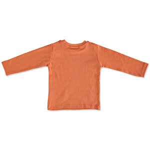 Basic Erkek Bebek  İnterlok Sweatshirt