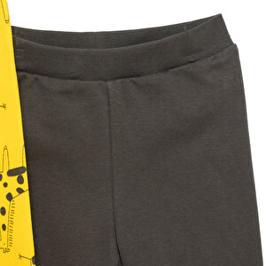 Basic Erkek Dinozor Desenli 2li Patiksiz Alt Erkek Bebek Basic Erkek Dinozor Desenli 2li Patiksiz Alt Erkek Bebek