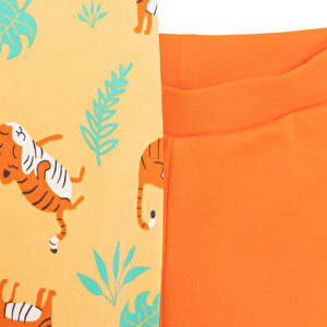 Basic Erkek Kaplan Desenli 2li Patiksiz Alt Erkek Bebek