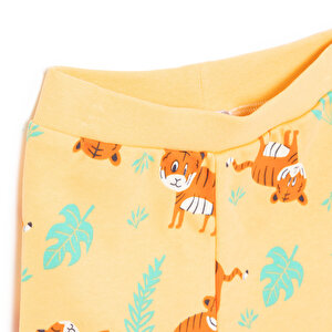 Basic Erkek Kaplan Desenli 2li Patiksiz Alt Erkek Bebek