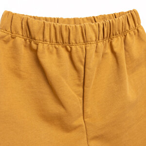 Basic Erkek Şampiyon Dinozor Baskılı Şortlu Takım Erkek Bebek