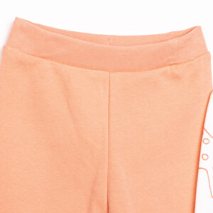 Basic Kız Deniz Yıldızı Desenli 2li Patiksiz Alt Kız Bebek Basic Kız Deniz Yıldızı Desenli 2li Patiksiz Alt Kız Bebek