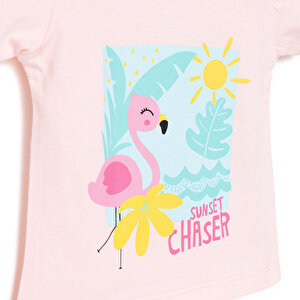 Basic Kız Flamingo Baskılı T-Shirt Kız Bebek Basic Kız Flamingo Baskılı T-Shirt Kız Bebek