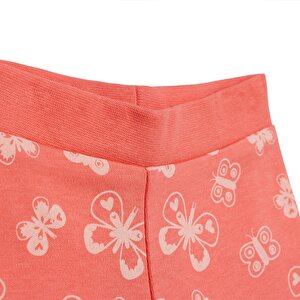 Basic Kız Kelebek Desenli 2li Patiksiz Alt Kız Bebek Basic Kız Kelebek Desenli 2li Patiksiz Alt Kız Bebek