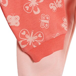 Basic Kız Kelebek Desenli 2li Patiksiz Alt Kız Bebek Basic Kız Kelebek Desenli 2li Patiksiz Alt Kız Bebek