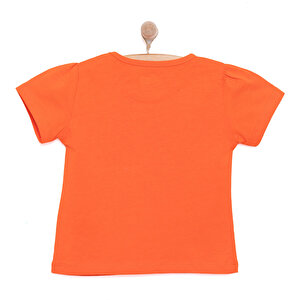 Basic Tshirt Basic Tshirt