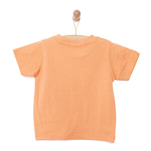 Basic Koala Baskılı Tshirt Erkek Bebek Basic Koala Baskılı Tshirt Erkek Bebek