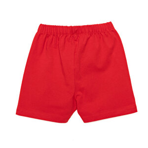 Basic  Şort Kız Bebek