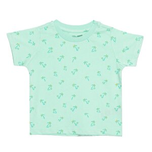 Basic Tshirt Basic Tshirt