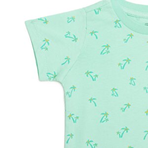 Basic Tshirt Basic Tshirt