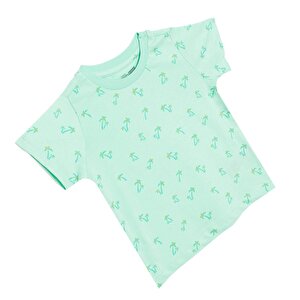 Basic Tshirt Basic Tshirt