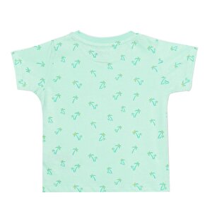 Basic Tshirt Basic Tshirt