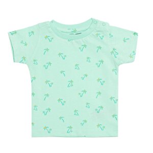 Basic Tshirt Basic Tshirt