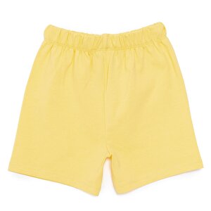 Basic Unisex Şort Unisex Basic Unisex Şort Unisex