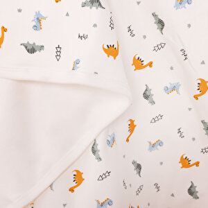 Battaniye Erkek Bebek