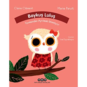 Baykuş Luluş Yuvasından Ayrılmak İstemiy