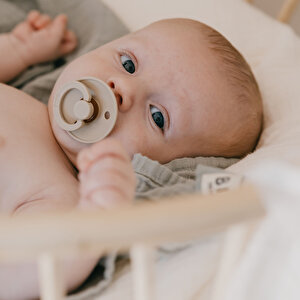 Bibs Colour Kauçuk Emzik-Sage-18+ Ay