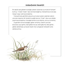 Bir Lokmalık Masallar Bir Lokmalık Masallar