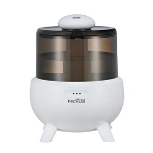 Direct Nexus Buhar Makinesi