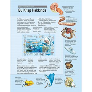 Büyük Sualtı Araştırması Büyük Sualtı Araştırması