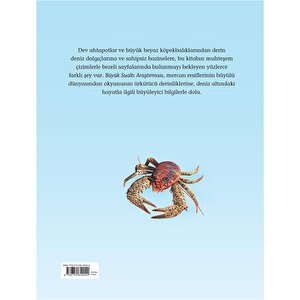 Büyük Sualtı Araştırması Büyük Sualtı Araştırması